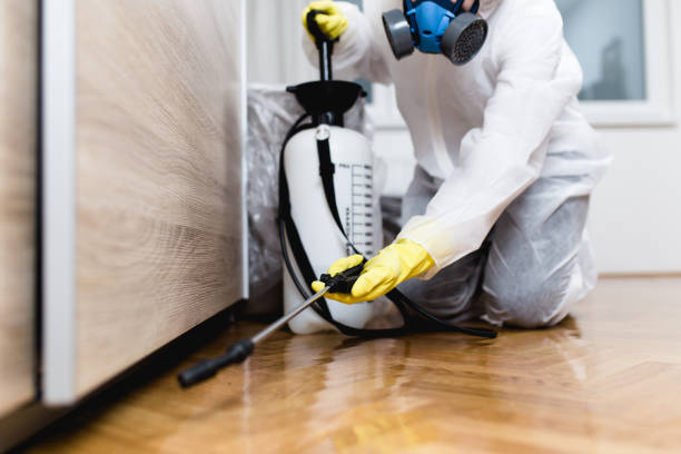 Best Commercial Pest Control Services  in Cibecue, AZ