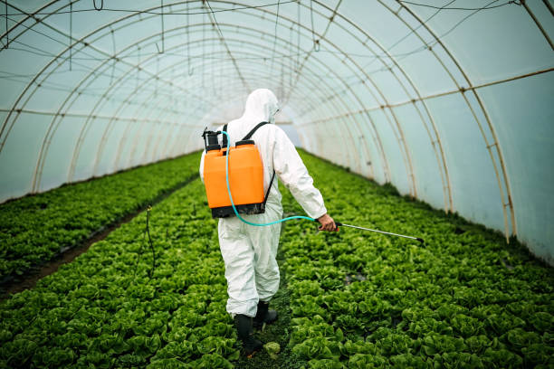 Best Mosquito Control Services  in Cibecue, AZ