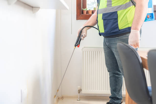 Best Mosquito Control Services  in Cibecue, AZ