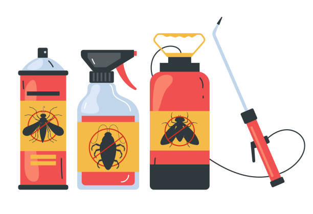 Best Local Pest Control Services  in Cibecue, AZ