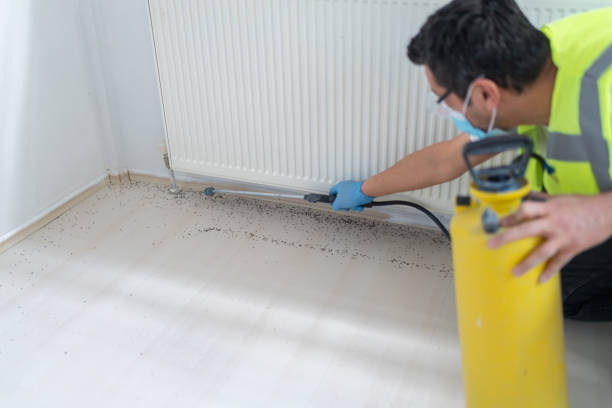 Best Best Pest Control Companies  in Cibecue, AZ