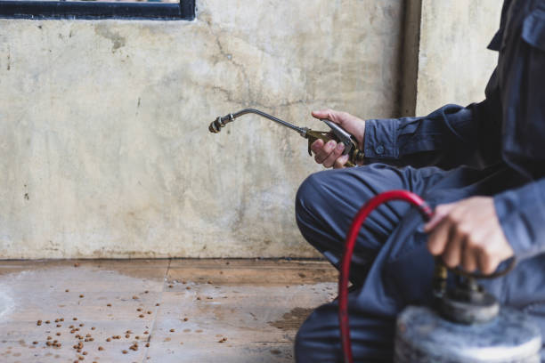 Best Pest Prevention Services  in Cibecue, AZ